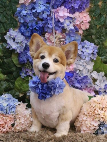 20250601ナナちゃん